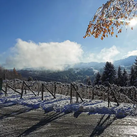Stilvolles Suedsteiermark Ruhige Lage Aussicht & E-ladestation *